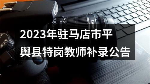 2023年驻马店市平舆县特岗教师补录公告 图片