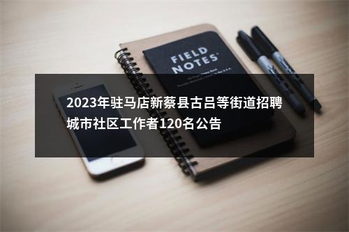 2023年驻马店新蔡县古吕等街道招聘城市社区工作者120名公告 图片