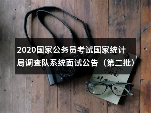 2020国家公务员考试国家统计局调查队系统面试公告（第二批） 图片