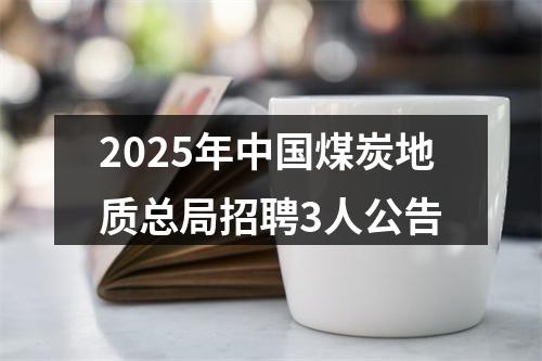 2025年中国煤炭地质总局招聘3人公告 图片
