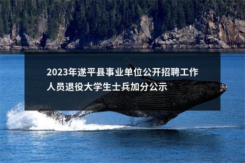 2023年遂平县事业单位公开招聘工作人员退役大学生士兵加分公示 图片