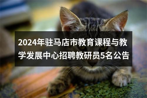 2024年驻马店市教育课程与教学发展中心招聘教研员5名公告 图片
