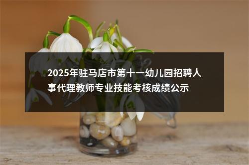 2025年驻马店市第十一幼儿园招聘人事代理教师专业技能考核成绩公示 图片