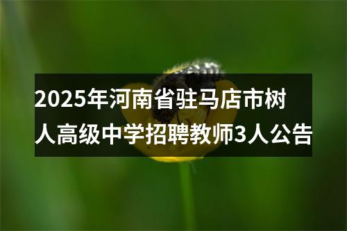 2025年河南省驻马店市树人高级中学招聘教师3人公告 图片