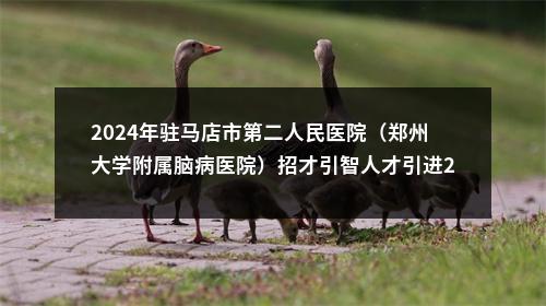 2024年驻马店市第二人民医院（郑州大学附属脑病医院）招才引智人才引进27名公告 图片