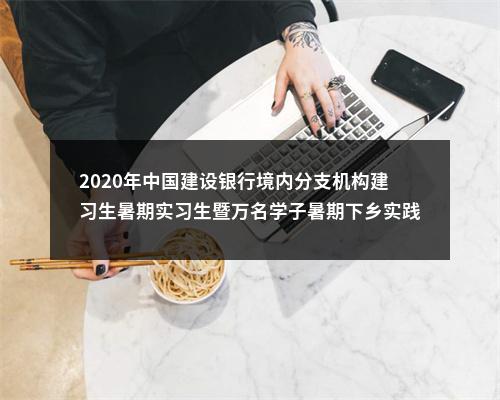 2020年中国建设银行境内分支机构建习生暑期实习生暨万名学子暑期下乡实践队员招聘公告 图片