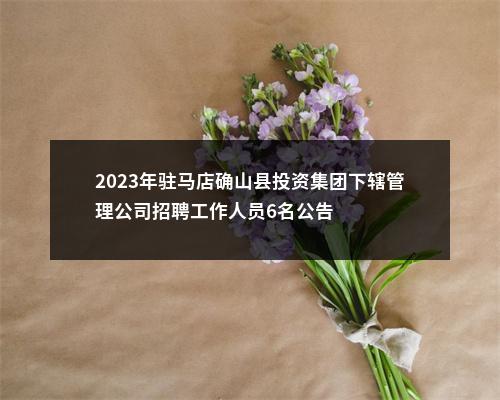 2023年驻马店确山县投资集团下辖管理公司招聘工作人员6名公告 图片