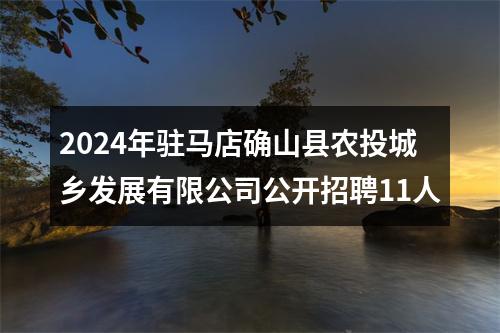 2024年驻马店确山县农投城乡发展有限公司公开招聘11人 图片